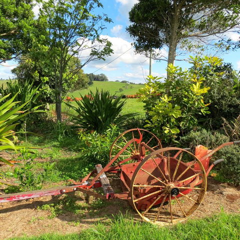 Maleny Springs Farm - Accommodation Port Macquarie 37