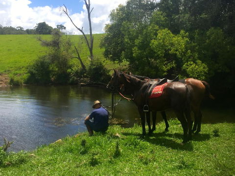 Maleny Springs Farm - Accommodation Port Macquarie 36