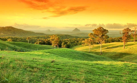 Maleny Springs Farm - Accommodation Port Macquarie 20