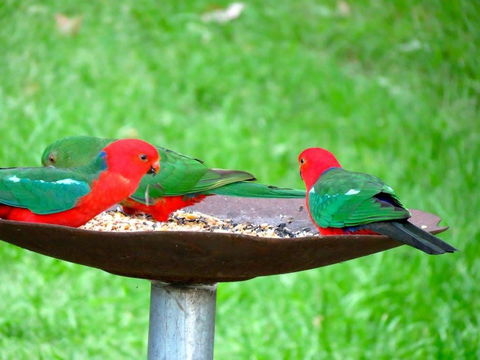 Maleny Springs Farm - Accommodation Port Macquarie 35