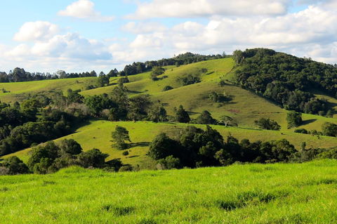 Maleny Springs Farm - Accommodation Port Macquarie 0