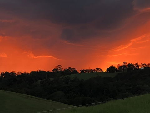 Maleny Springs Farm - Accommodation Port Macquarie 6