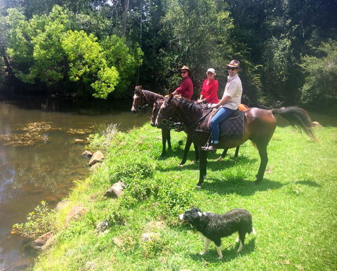 Maleny Springs Farm - Accommodation Port Macquarie 33