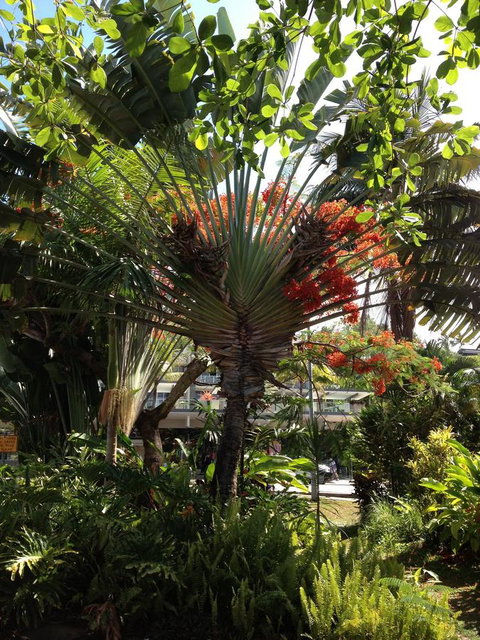 Port Douglas Apartments - Adults Only Oasis - Accommodation Port Macquarie 39