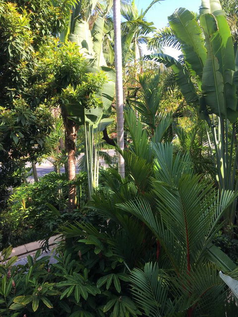 Port Douglas Apartments - Adults Only Oasis - Accommodation Port Macquarie 1