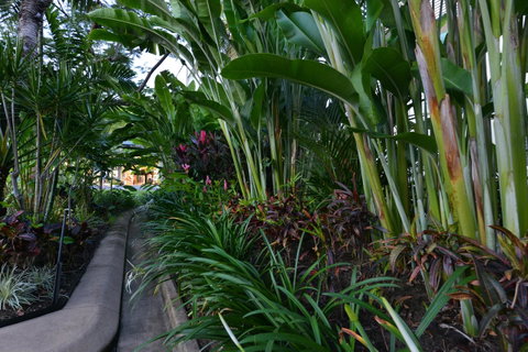 Port Douglas Apartments - Adults Only Oasis - Accommodation Port Macquarie 9