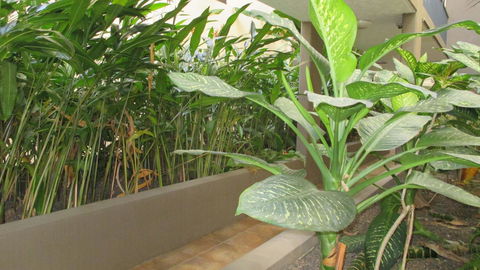 Edge Apartments Cairns - Accommodation Port Macquarie 39