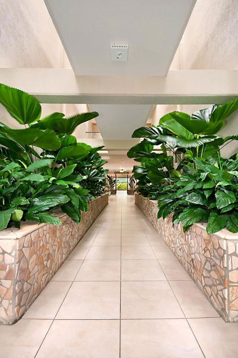 Shantara Resort Port Douglas - Adults Only Retreat - Accommodation Port Macquarie 27