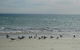 Beachfront Holiday Apartment To Rent For Short And Long Stays - thumb 30