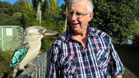 Magnetic Island Bed And Breakfast - Accommodation Port Macquarie 33