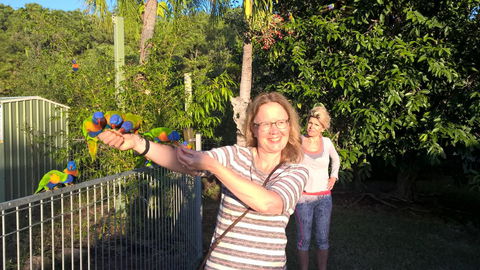 Magnetic Island Bed And Breakfast - Accommodation Port Macquarie 16