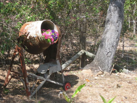 Magnetic Island Bed And Breakfast - Accommodation Port Macquarie 32