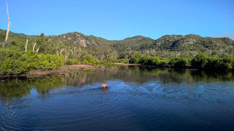Magnetic Island Bed And Breakfast - Accommodation Port Macquarie 8