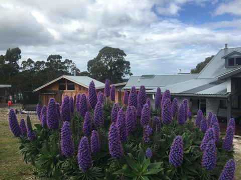 Bruny Island Lodge - Accommodation Port Macquarie 5