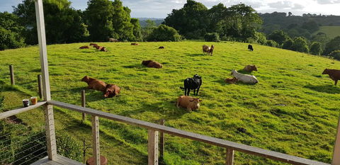 Seasons Of Maleny B&B - Accommodation Port Macquarie 1