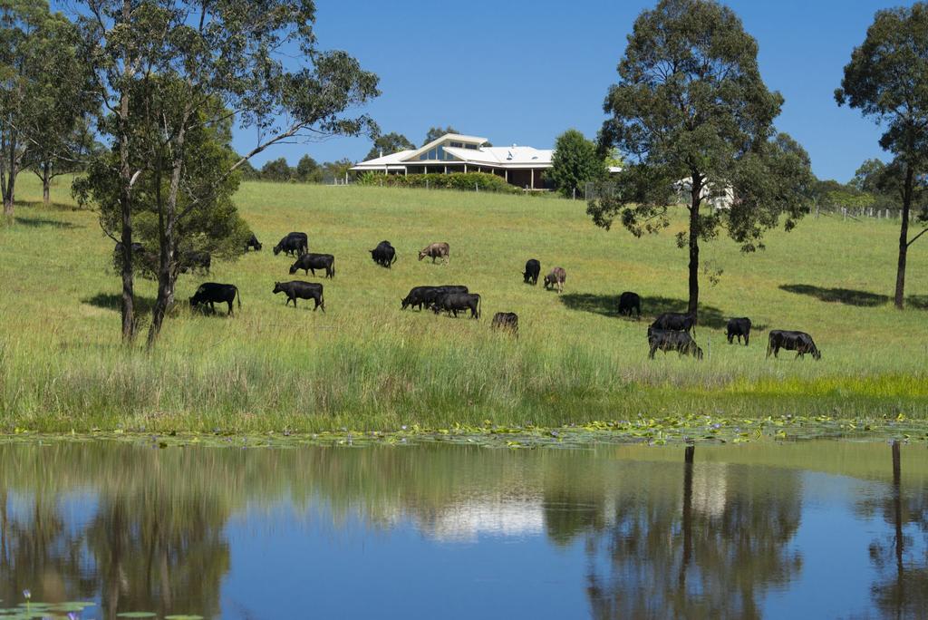 Coolongolook NSW Accommodation Port Macquarie