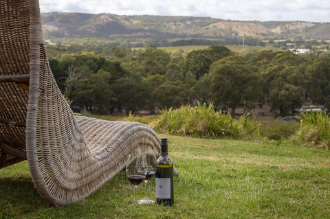 131 Your Vineyard Home In The Heart Of The Vale - Accommodation Port Macquarie 0