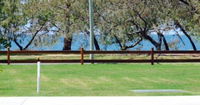 2 BDR Sea View Guest House