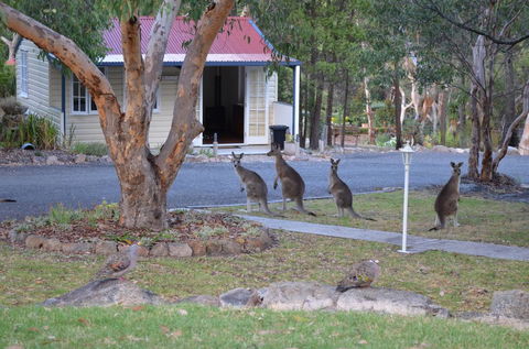 31 The Rocks - Accommodation Port Macquarie 0