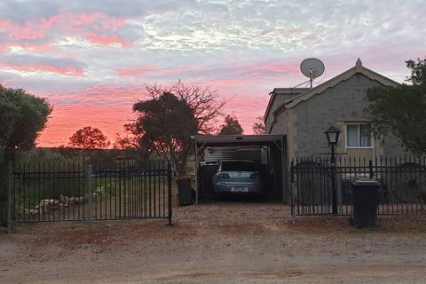 A Real Bush Retreat. Kangas, Emus & Starry Skies. - Accommodation Port Macquarie 1