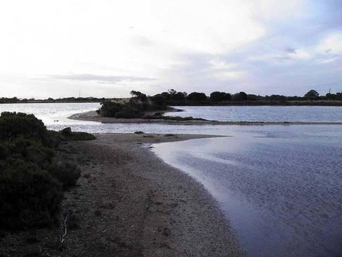 Absolute Waterfront - Accommodation Port Macquarie 1
