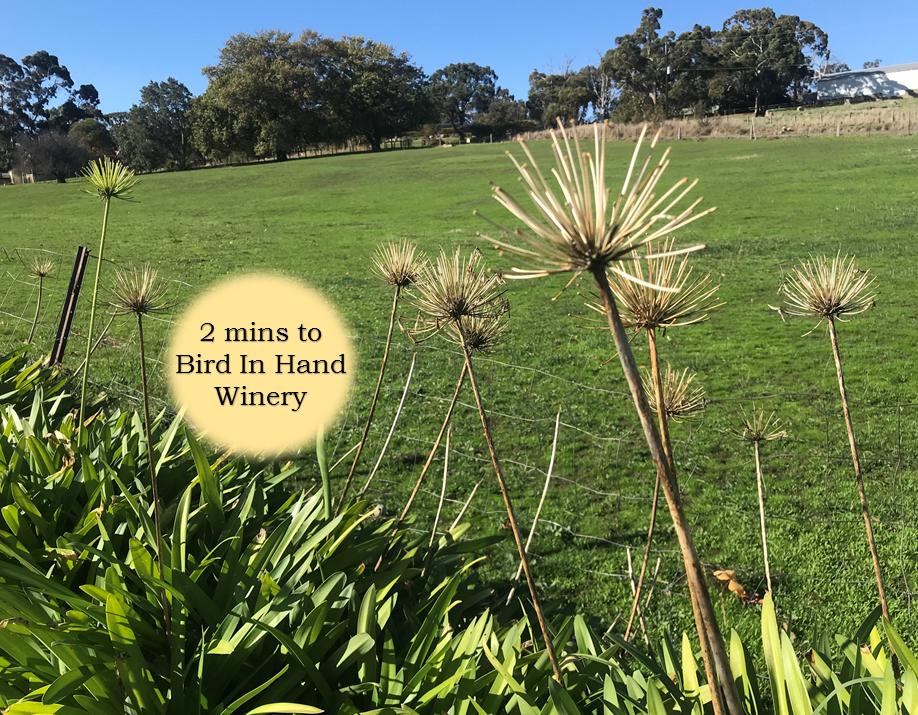 Charleston SA Accommodation Port Macquarie