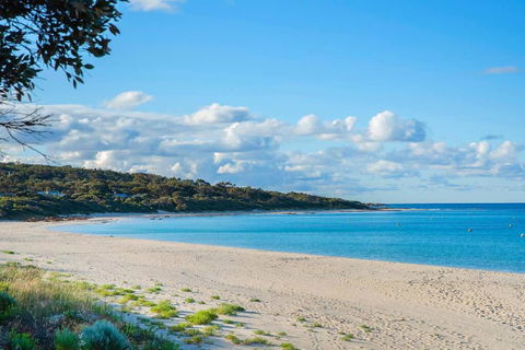 Eagle Bay Summerhaus - Accommodation Port Macquarie 1