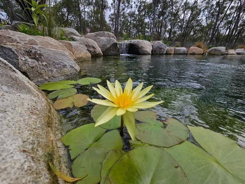 Eureka Station Camping Retreat - Accommodation Port Macquarie 4