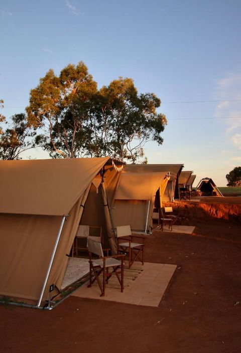 Glamping At Buckland Estate - Accommodation Port Macquarie 1