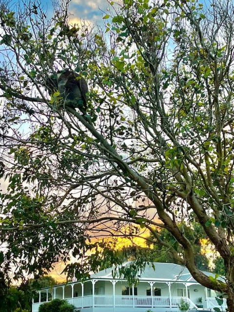 Galbraith Beach Studios - Studio 1 - Accommodation Port Macquarie 1