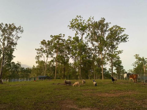 Gemmas Animal Farm By Tiny Away - Accommodation Port Macquarie 1