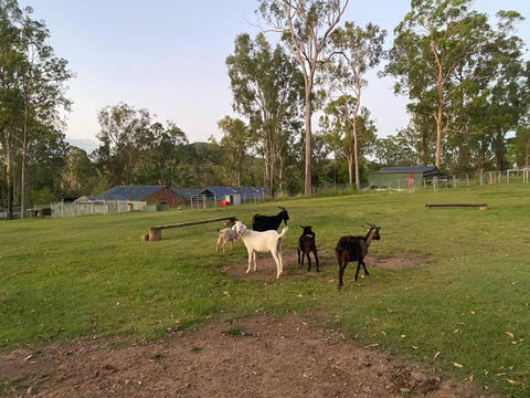 Gemmas Animal Farm By Tiny Away - Accommodation Port Macquarie 2
