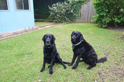 GERR14C - Salty Dog - Accommodation Port Macquarie 3