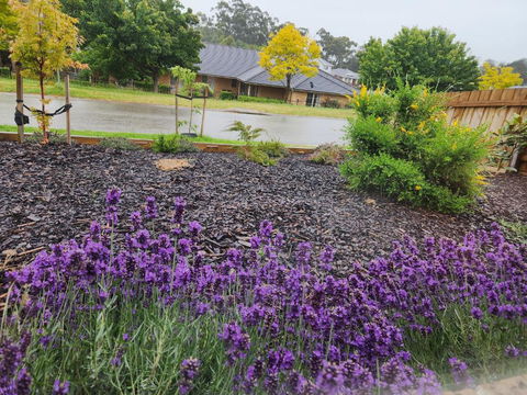 Getaway On Amaroo Way - Accommodation Port Macquarie 1