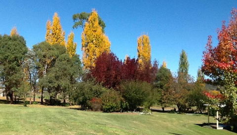 Glen Waverly Farmstay - Accommodation Port Macquarie 3
