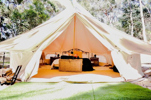 Golden Point Glamping - Accommodation Port Macquarie 0