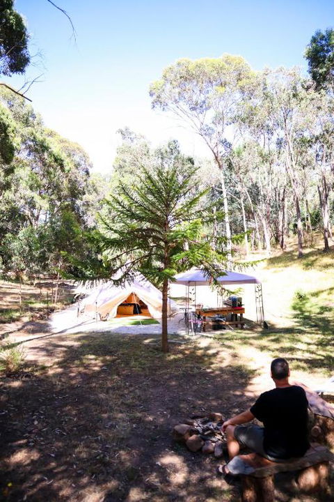 Golden Point Glamping - Accommodation Port Macquarie 4