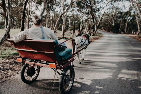 Gums N Roses By Tiny Away - Accommodation Port Macquarie 1