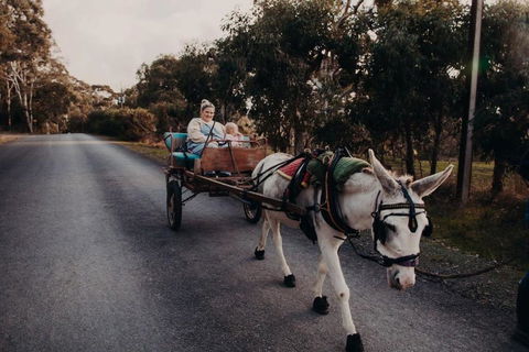 Gums N Roses By Tiny Away - Accommodation Port Macquarie 2