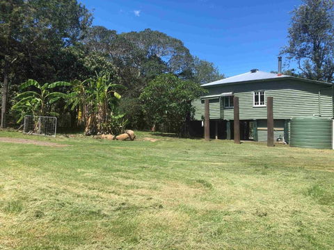 Harris Cottage - Accommodation Port Macquarie 1