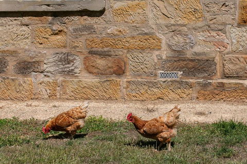 Historic Sandstone Ross Farmhouse - Accommodation Port Macquarie 2