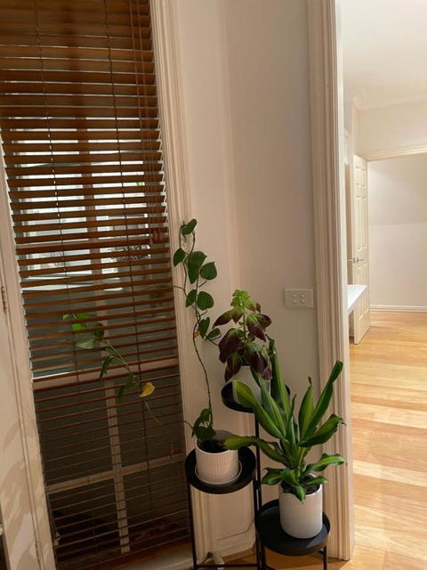 Hunter House - Accommodation Port Macquarie 0