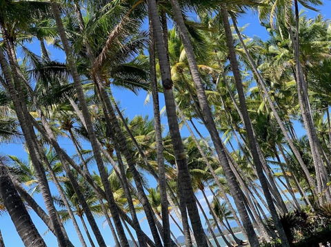 IMPORTANT MESSAGE This Property Is Not Currently Available For Holiday Letting - Accommodation Port Macquarie 1