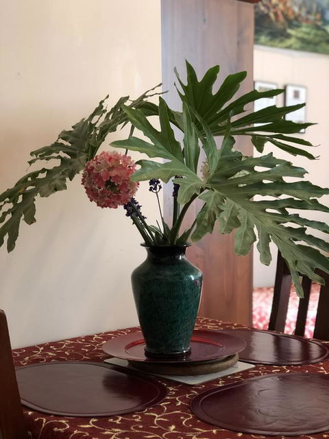 Albany Foreshore Guest House - Accommodation Port Macquarie 3