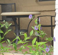 Amalie Cottage Waikerie - Accommodation Port Macquarie