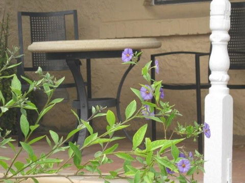 Amalie Cottage Waikerie - Accommodation Port Macquarie 0
