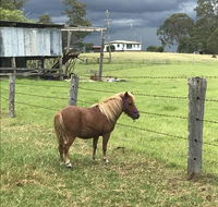 AMs Farm Stay - Accommodation Port Macquarie