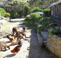 Anchorage Apartments - Accommodation Port Macquarie