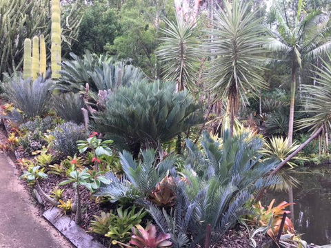 Ancient Gardens Guesthouse & Botanical Gardens - Accommodation Port Macquarie 2