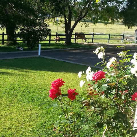 Appin Homestay B & B - Accommodation Port Macquarie 3